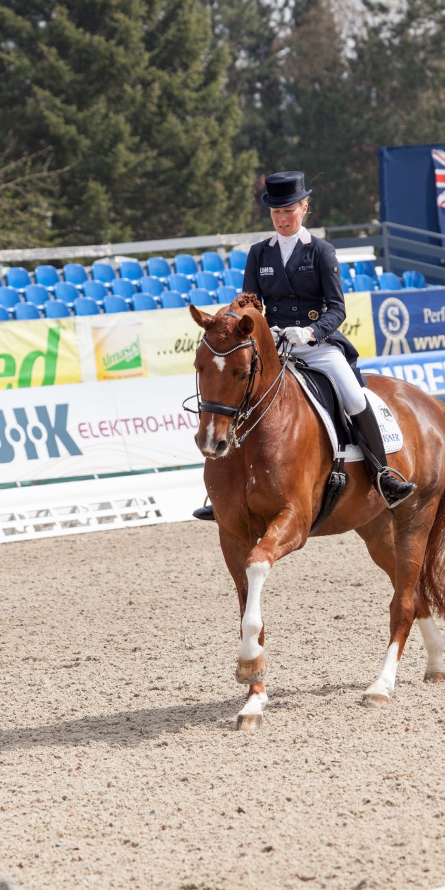 Hagen a.T.W., Germany - April 23, 2015: Helen Langehanenberg Horses & Dreams 2015 with Filaro during the Nuernberger Burgpokal opening, reached 2nd pace